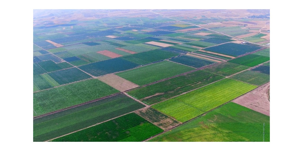 Ziraat profesöründen ‘tarımsal üretim seferberliği’ çağrısı