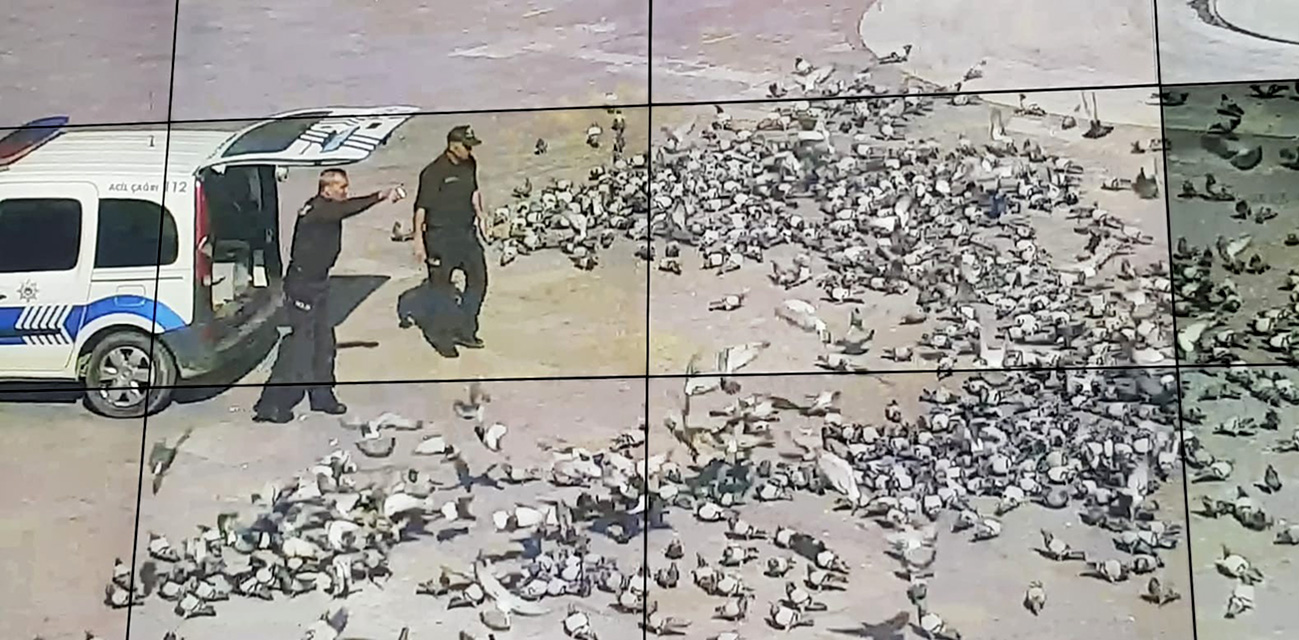 Hükümet Meydanı'nın misafirleri aç kaldı! Polis onlara da yetişti