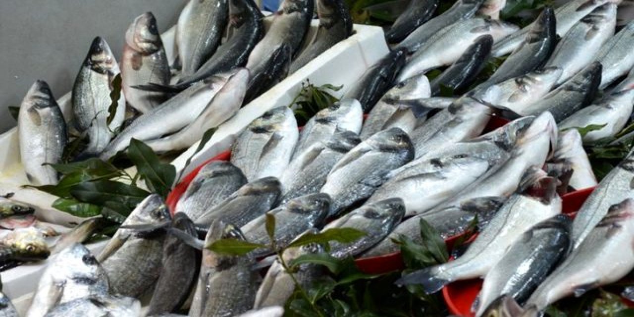 Maliyetine Balık Satışları Yarın Başlıyor