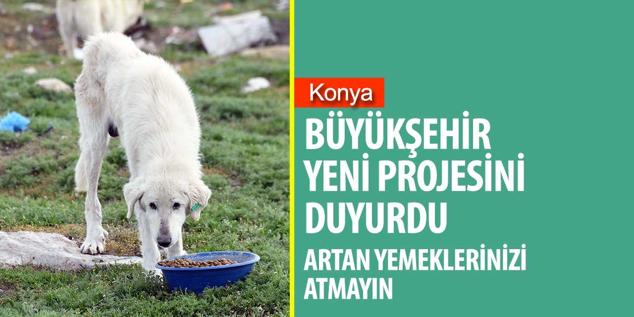 Konya Büyükşehir Belediyesi'nin yeni projesi tüm dünyaya örnek olacak! Yemek artıklarından köpek maması