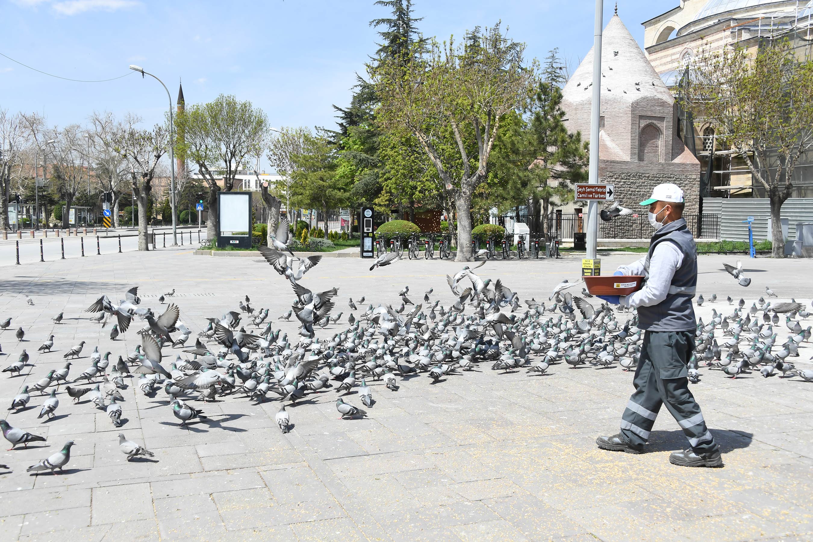 Konya'da sokak hayvanları onlara emanet