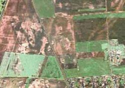 Google Earth'te insan yüzü