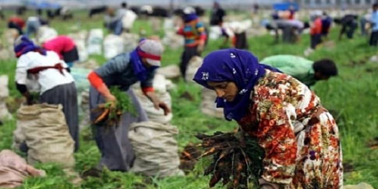 Konya'daki mevsimlik tarım işçileri mesaide