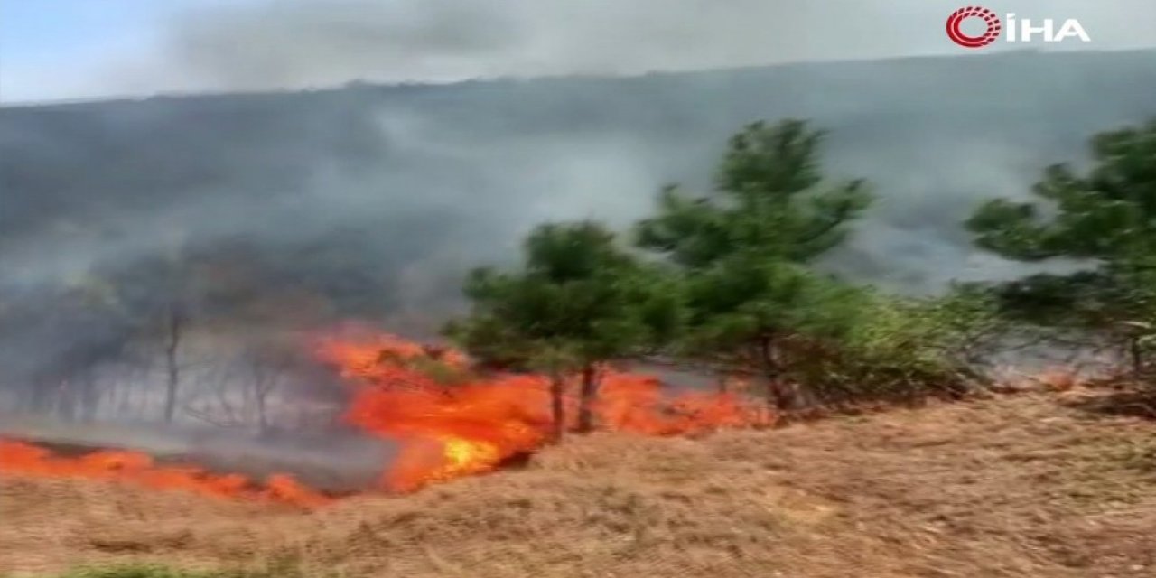 Aydos'ta yangın çıktı!