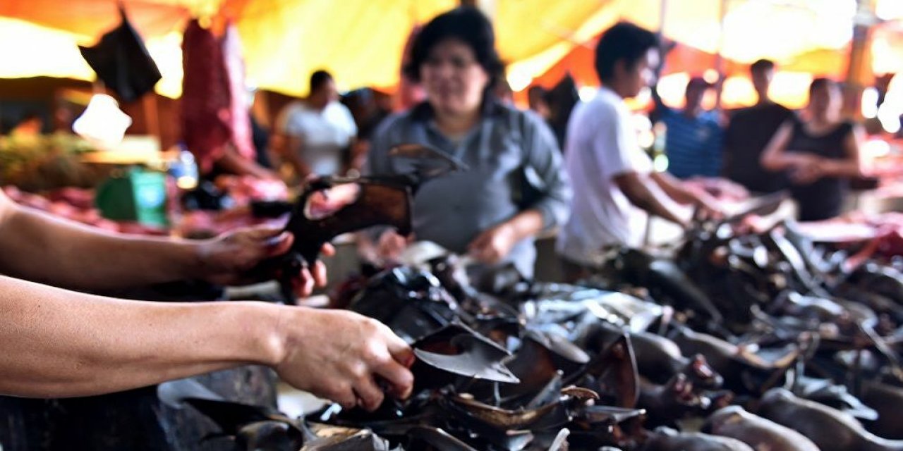 ABD’den Çin’e Hayvan Pazarını Kapatın Çağrısı