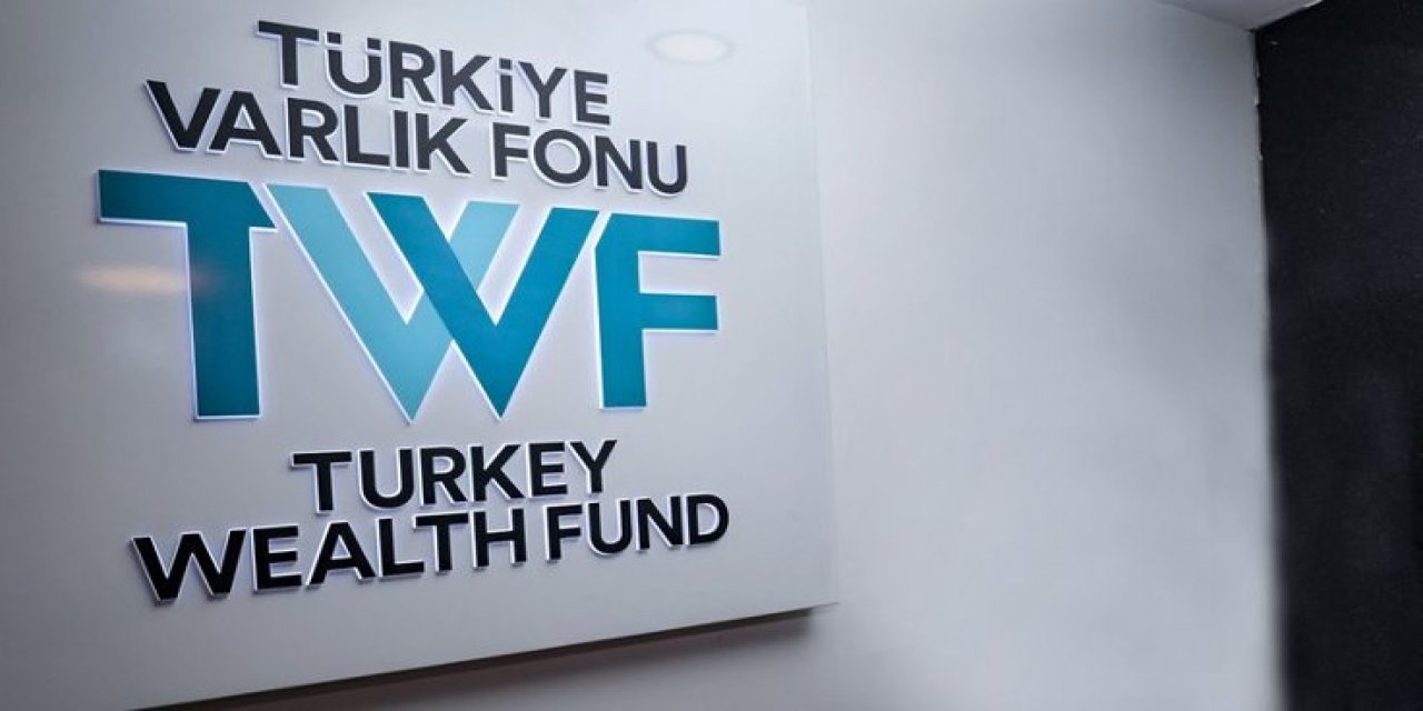 Varlık Fonu, Sigorta Şirketlerini Devraldı