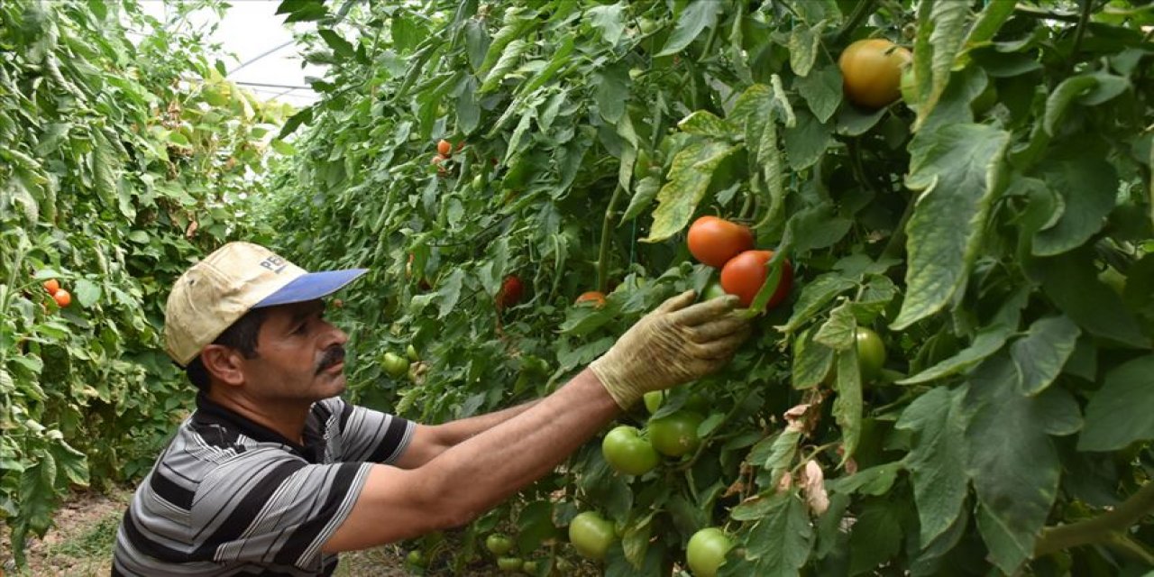 Antalya'da 130 bin kişi sokağa çıkmasa bizim halimiz ne olur?