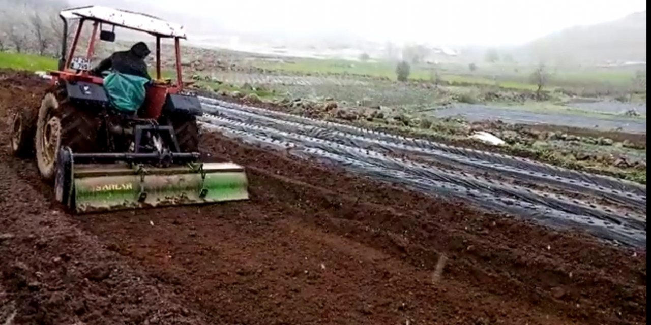 Konya'da kar yağarken çilek ekimi devam etti
