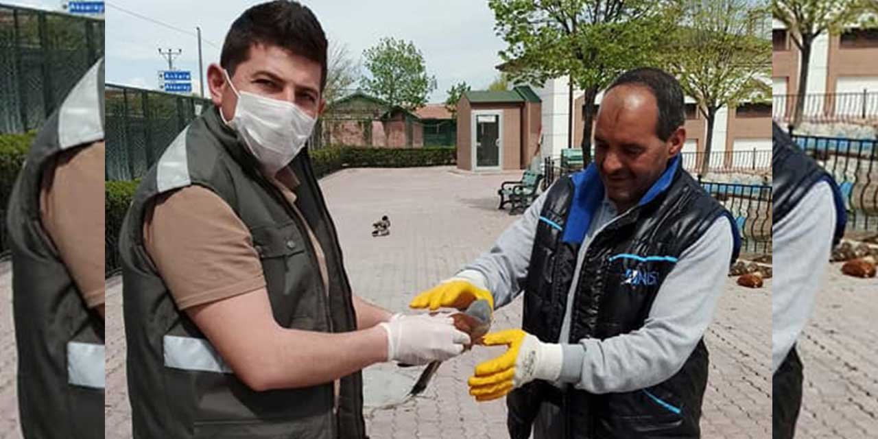 Konya'da Doğa Koruma  ekiplerini harekete geçiren kuş