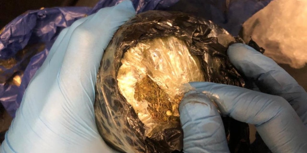 Kaçakçılar sınır tanımıyor bin 500 canlı kraliçe arı ele geçirildi