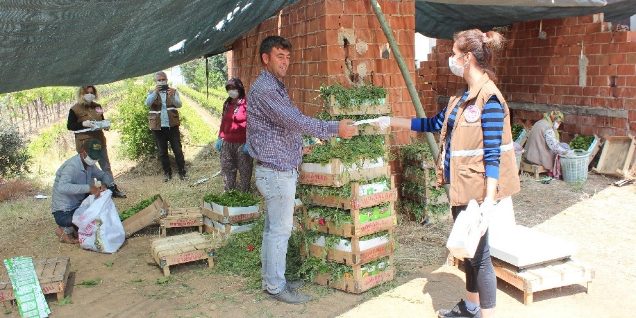 Manisa'da çiftçilere korona virüs uyarısı