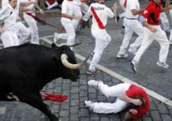 Boğalı koşu festivali başladı