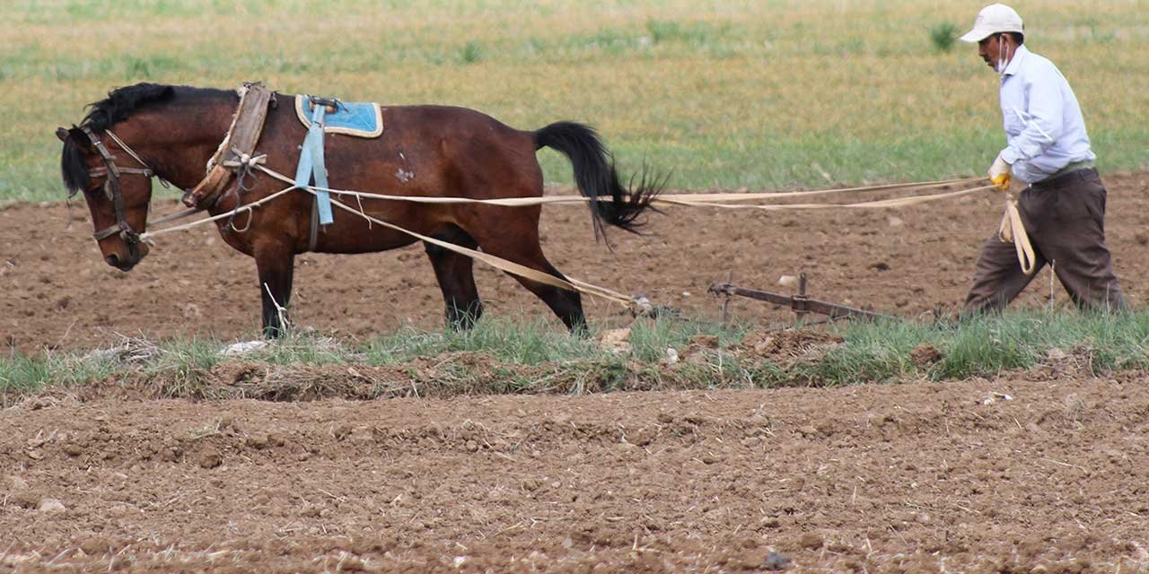 Koronavirüs büyükşehirde yaşayanları ne duruma soktu? Konya'dan köylere göç dönemi