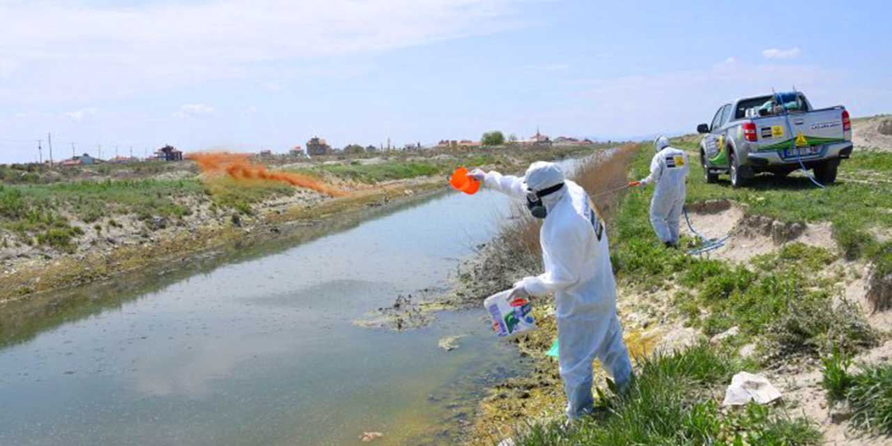 Bu görüntüler Konya'dan! Ekipler tek tek ilaçladı