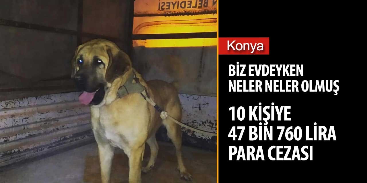 Konya'da asayiş olayları durdu ancak diğer suçlar ortaya çıktı