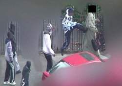 Yaşlılar serseri çetesini çökertti