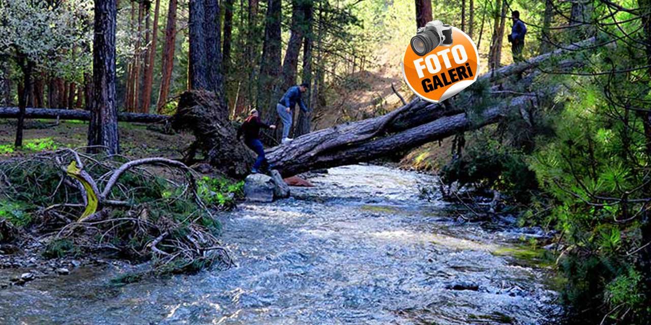Konya'nın yüksek kesimlerinde kış devam ediyor