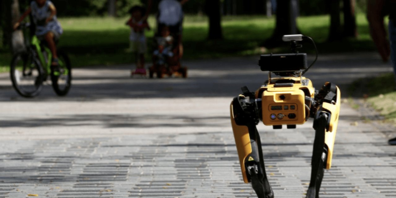 Singapur'da Sosyal Mesafeyi Robot Köpekler Yapacak