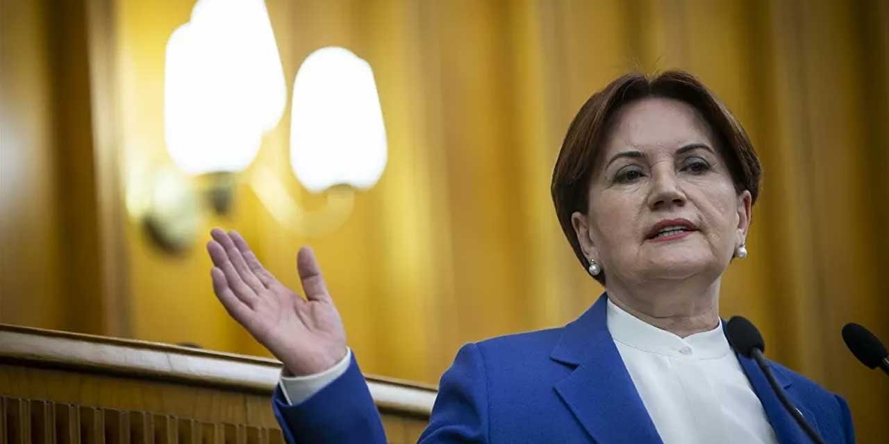 Meral Akşener'den Zeytin Dalı