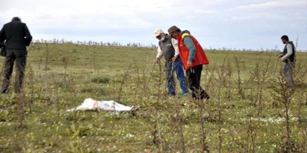 Kilosu 200 Lira, Şimdi Tam Mevsimi