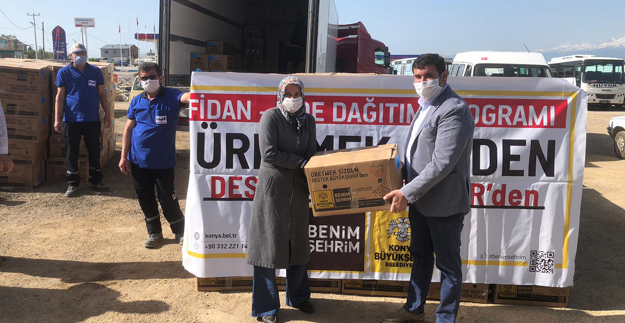 Konya Büyükşehir Hüyük'te çilek fidesi dağıttı