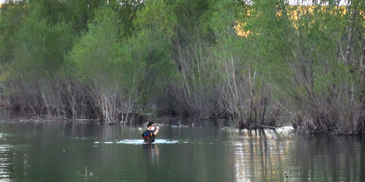 Gizemli Amerikalının balık attığı gölde çok sayıda ağ ele geçirildi