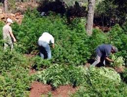 Hatay'da PKK'ya büyük darbe
