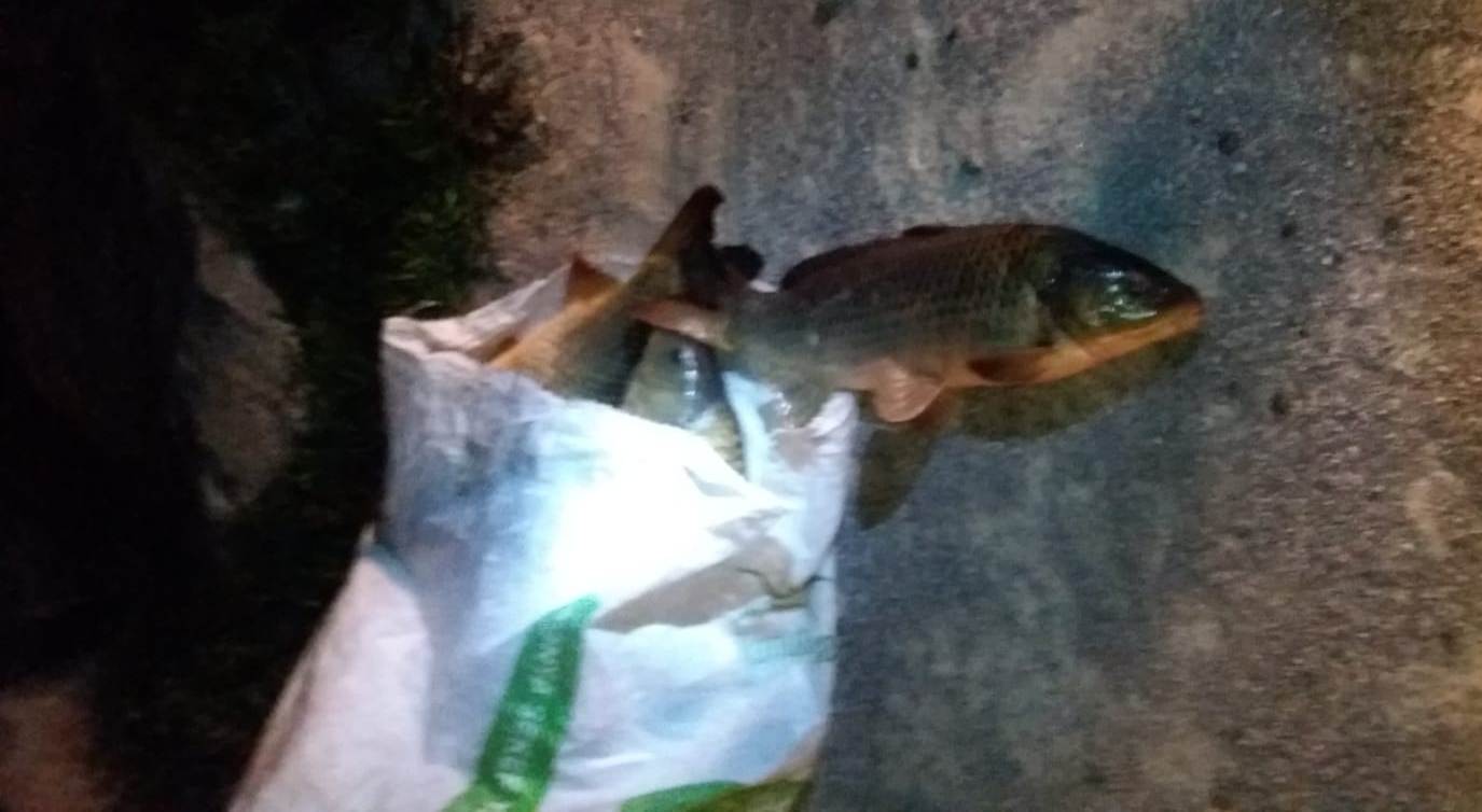 Suğla'da avlananlara 5 bin 100 TL ceza