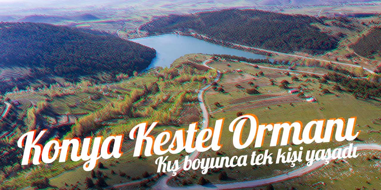 Konya'nın en şanslı kişisi kış boyu burada yaşıyordu