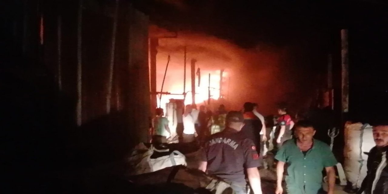 Antalya’da Alevler Geceyi Aydınlattı