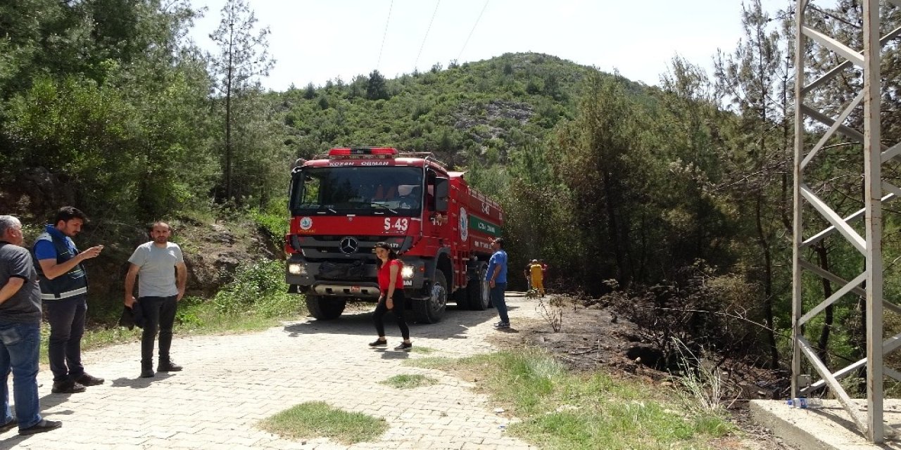 Adana'da 5 dönümlük kızılçam ormanı küle döndü