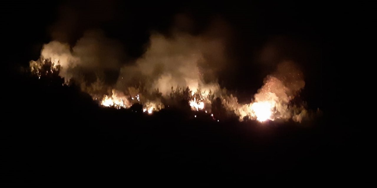 Aynı ormanlık alanda ikinci yangın