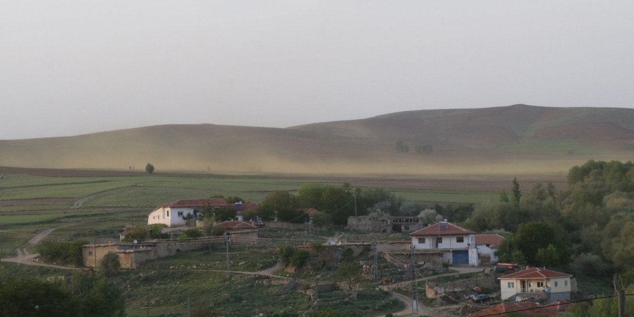Çekirgeler Beklenirken Yozgat'tın Bir Köyünü Sarı Sinekler Bastı