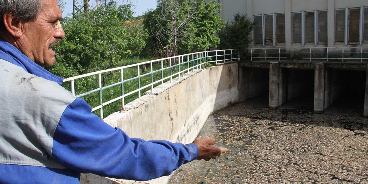 Beyşehir Gölü'nde şok eden görüntü