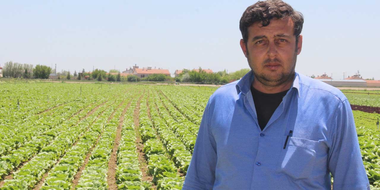 Konya bir tarım ürününde daha başarılı oldu