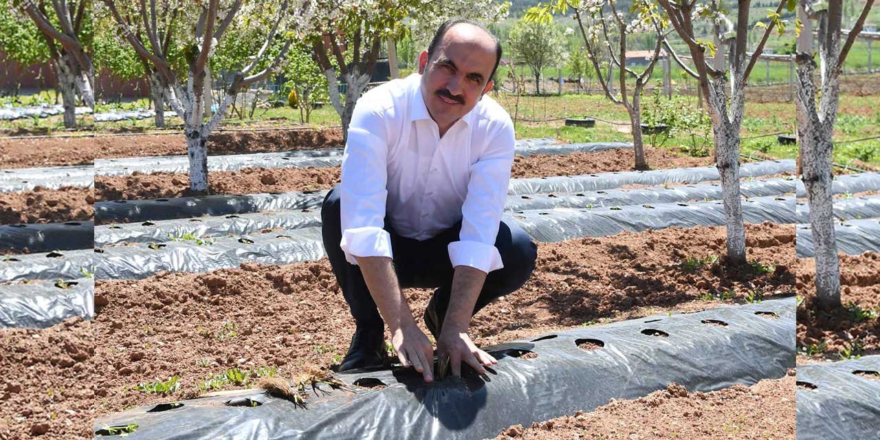 Başkan Altay tarımsal ihtilal için herşeyi yaptı sonucu bu yıl almayı bekliyor