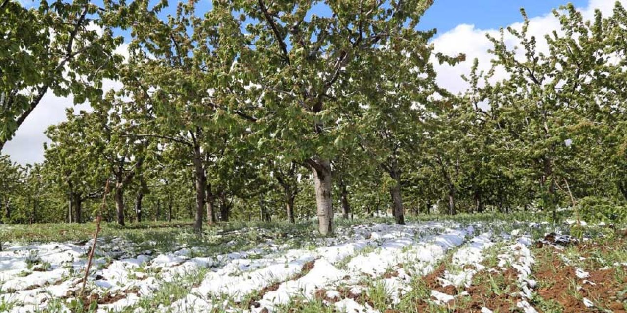Konya'ya Mayıs ayının 24'ünde kar yağdı