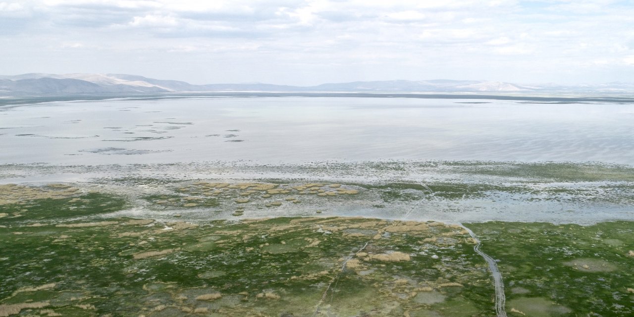 Akşehir Gölü kurtulacak mı? Kurudu denilen göl yeniden hayat buluyor