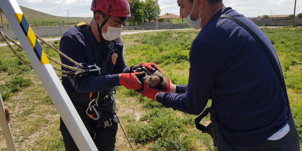Konya'da Kuyuya Atılan Köpek Yavruları Kurtarıldı