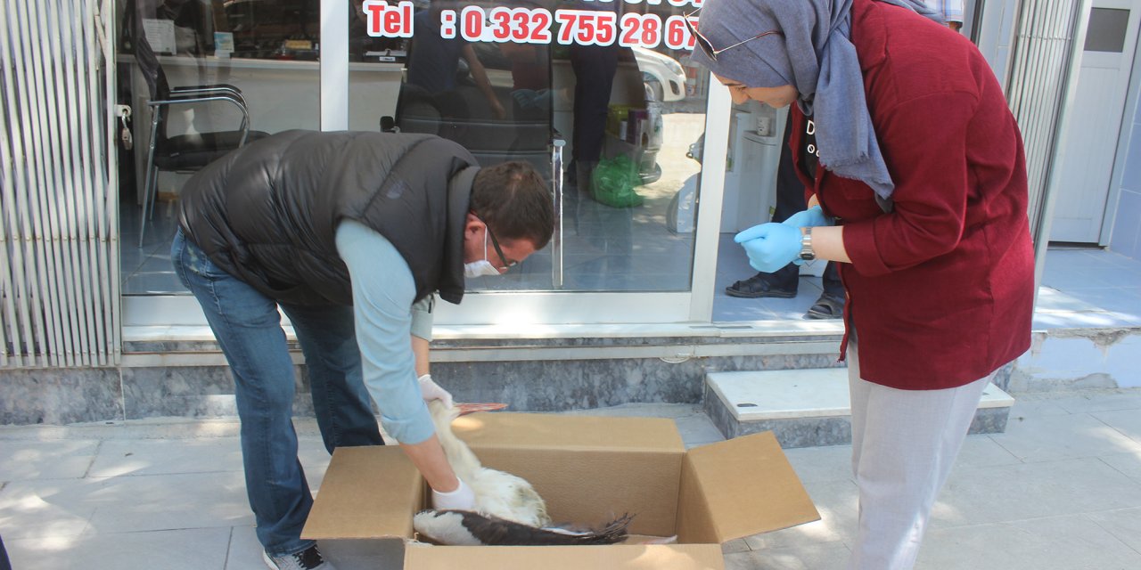 Karapınar'da yaralı halde bulunan leylek tedavi altına alındı