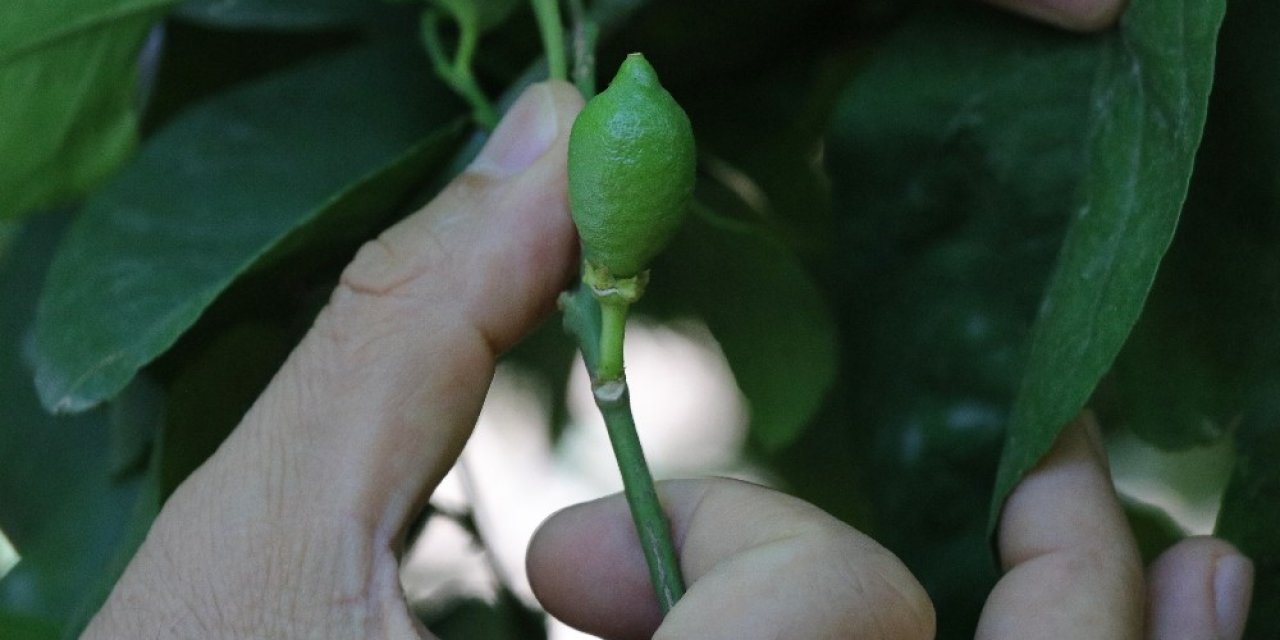 Adana'dan da tüm Türkiye'ye kötü haber geldi