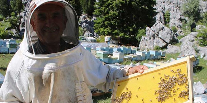 Konya'da koronavirüs bakın neye daha çok yaradı