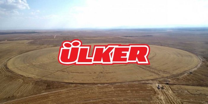 Ülker Konya'nın hububatına talip! Dev alım