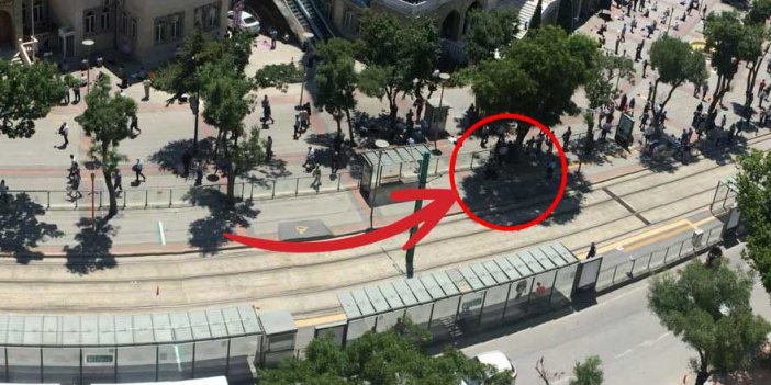 Günün karesi Konya’dan geldi