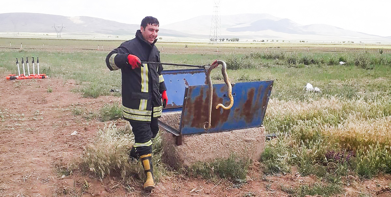 Konya'da yılan operasyonu