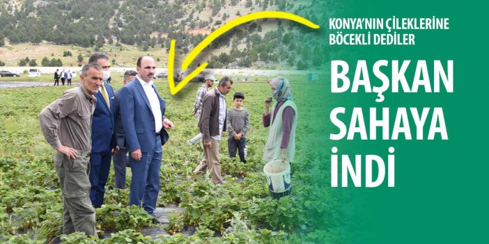 Başkan Altay'dan Konya'nın çileklerine yapılan iftiralara sahadan cevap