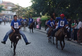 'Eşeğe binme' yarışı!