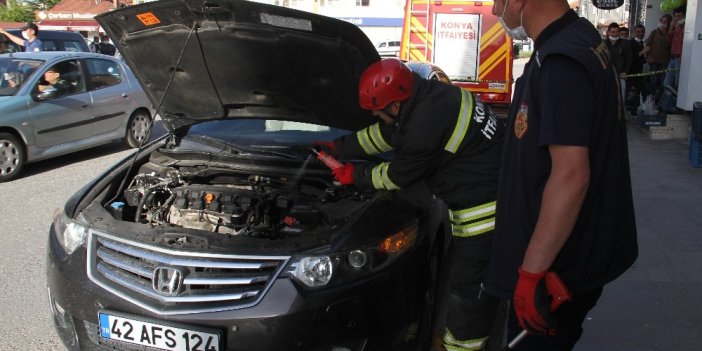 Konyalı'nın başı yılanlarla dertte! Şimdi de Beyşehir