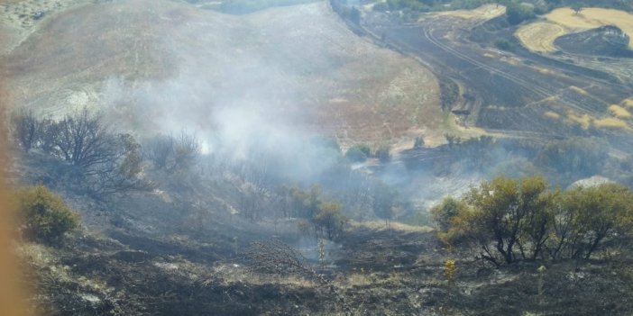 Türkiye'de yangınlar bir türlü durdurulamıyor! Şimdi de Manisa