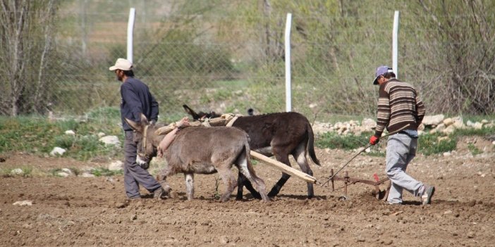 Bu fotoğraflar Konya'dan! Provokasyonlara gelmeyin! İşin aslı çok başka